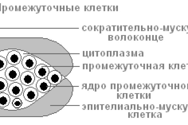 Кракен это сайт