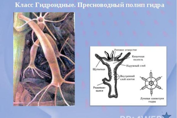 Не получается зайти на кракен